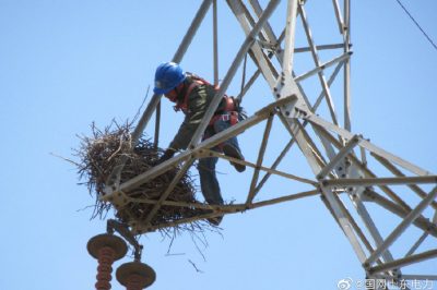 煙臺供電公司攀爬高空鐵塔檢修線路 煙臺供電公司攀爬高空鐵塔檢修線路