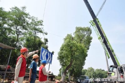 220kV斗九4k11線011號鐵塔絕緣子上有鳥窩 220kV斗九4k11線011號鐵塔絕緣子上有鳥窩