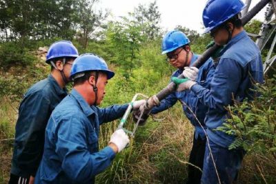 雷擊傷線路 搶修忙復電 雷擊傷線路 搶修忙復電