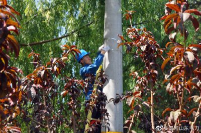 安丘供電公司組織配電運維員工助推線路架設(shè) 安丘供電公司組織配電運維員工助推線路架設(shè)