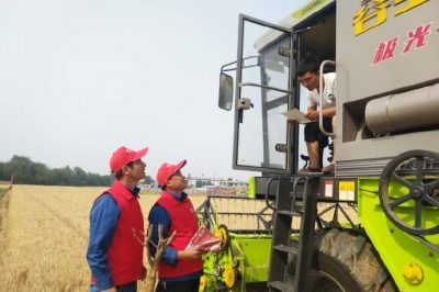 河北電力簡訊：芒種忙忙割，農(nóng)家樂啟鐮