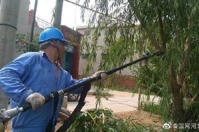 磁縣供電公司在10千伏東赫035線路清理樹障 磁縣供電公司在10千伏東赫035線路清理樹障
