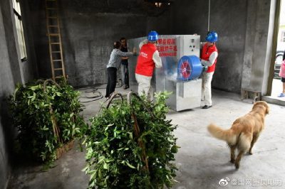 江津供電公司智慧眾籌助力烤花椒 江津供電公司智慧眾籌助力烤花椒
