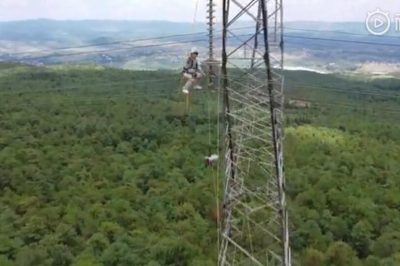 曲靖供電局帶電更換鐵塔整串絕緣子 曲靖供電局帶電更換鐵塔整串絕緣子