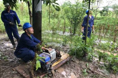 樂山電力搶修110千伏線路故障，迅速恢復(fù)供電