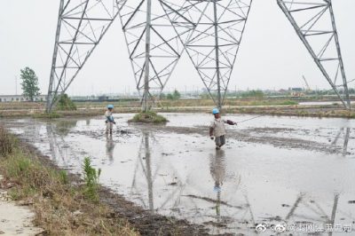 架設(shè)線路、安裝電纜引下線，解決農(nóng)民秸稈焚燒問題