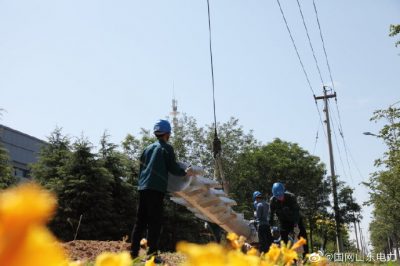 110千伏石虎站10千伏南潘線招辛線雙回架設(shè)施工現(xiàn)場(chǎng) 110千伏石虎站10千伏南潘線招辛線雙回架設(shè)施工現(xiàn)場(chǎng)