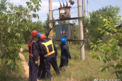 10千伏洛平513線路開展雨后特巡，力保供電可靠