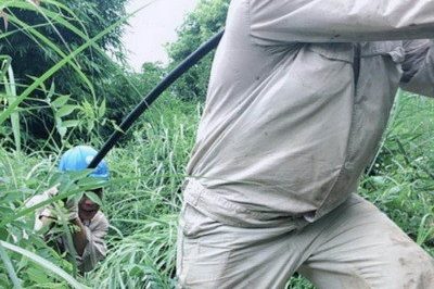 南川區(qū)供電公司緊急搶修被雷擊斷落在路上的10千伏鋒秧線8-10號(hào)桿A、C相
