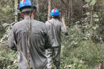 穿過無人區(qū)檢修110千伏線路君野線44號塔雷擊跳閘故障點(diǎn) 穿過無人區(qū)檢修110千伏線路君野線44號塔雷擊跳閘故障點(diǎn)