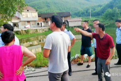 狂風(fēng)吹倒大樹 村民卻向供電公司索賠15萬 大伙怒了！
