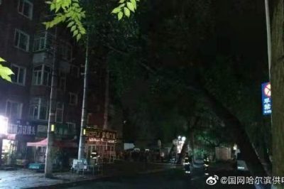 大樹(shù)傾倒導(dǎo)致10千伏元合線苗圃線停運(yùn)并伴有電火現(xiàn)象 大樹(shù)傾倒導(dǎo)致10千伏元合線苗圃線停運(yùn)并伴有電火現(xiàn)象
