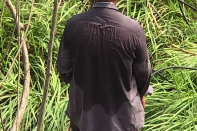 贛州開發(fā)區(qū)供電公司搶修蟠龍鎮(zhèn)楊邊村10千伏章楊線 贛州開發(fā)區(qū)供電公司搶修蟠龍鎮(zhèn)楊邊村10千伏章楊線