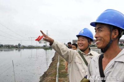 高郵市供電公司巡檢52條總長930千米的輸電線路 高郵市供電公司巡檢52條總長930千米的輸電線路