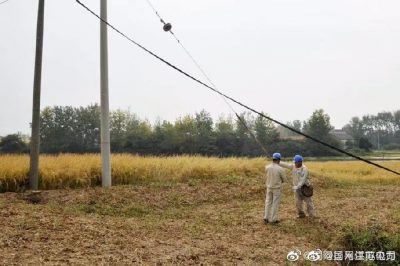 高郵市供電公司維護丘陵段的稻田用電打水口 高郵市供電公司維護丘陵段的稻田用電打水口