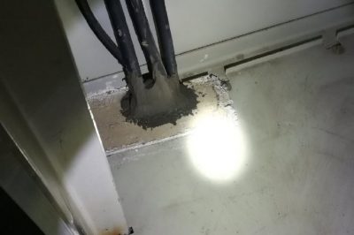 小動物，變電站非請勿來