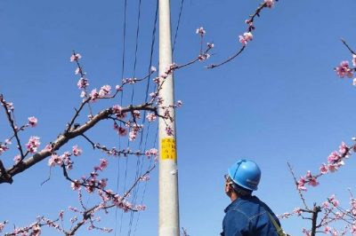 柳泉桃花節(jié) “電小二”配合政府保電忙 柳泉桃花節(jié) “電小二”配合政府保電忙