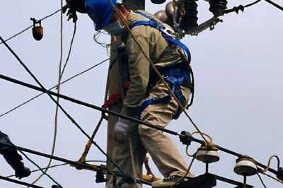 將裸鋁線更換絕緣導線  降低線路跳閘率 將裸鋁線更換絕緣導線  降低線路跳閘率
