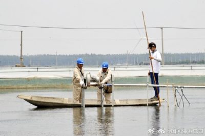 新增配電變壓器為湖畔生態(tài)農(nóng)場添“動力” 新增配電變壓器為湖畔生態(tài)農(nóng)場添“動力”