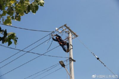 東阿縣供電公司對西張村線路進行升級改造 東阿縣供電公司對西張村線路進行升級改造