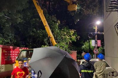 無(wú)懼大風(fēng)，連夜搶修供電線路