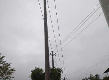 暴雨致電桿歪斜，供電員工搶修扶正