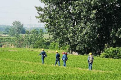 漢中供電公司全面鋪開輸電線路特巡工作 漢中供電公司全面鋪開輸電線路特巡工作