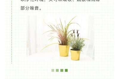 家里冰箱洗衣機(jī)噪音越來越大？讓它們安靜下來很簡單！