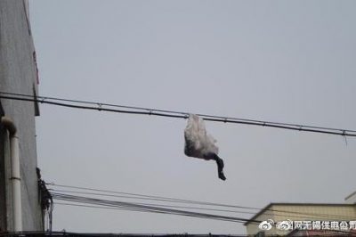 你的隨手一“拋”，可能導(dǎo)致跳閘停電！