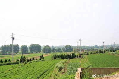 炎炎夏日架線忙 百姓用電有保障 炎炎夏日架線忙 百姓用電有保障
