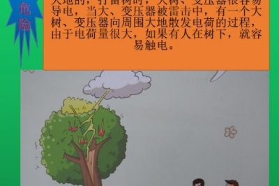 惡劣天氣勿在樹(shù)下躲雷電