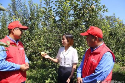 到新華村長(zhǎng)嶺山莊，幫助客戶檢查用電設(shè)備