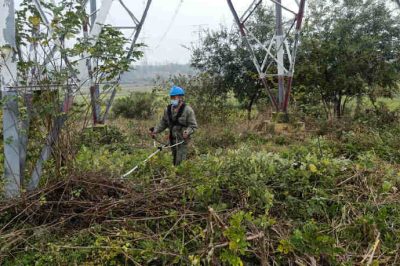 對(duì)500千伏龍斗一二三回線路進(jìn)行巡視