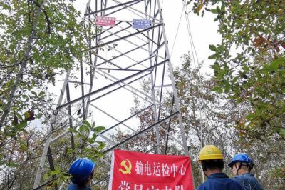 110千伏洋葛線停電更換合成絕緣子工作