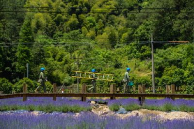 積極服務(wù)浙江“千萬工程”建設(shè)新時代美麗鄉(xiāng)村