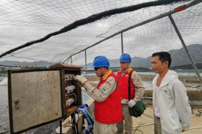 對(duì)寶應(yīng)湖農(nóng)場(chǎng)一大隊(duì)2號(hào)綜合變共54戶表計(jì)進(jìn)行更換，