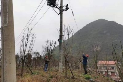 農(nóng)電檢修人員對(duì)小石線、高石線等10千伏線路進(jìn)行集中巡視測(cè)溫