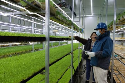 助力綠色產(chǎn)業(yè)發(fā)展供電優(yōu)質(zhì)服務先行