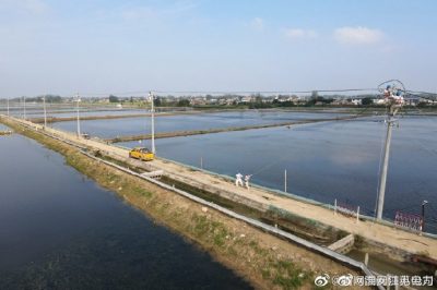 漣水縣金綠園水產(chǎn)養(yǎng)殖場架設(shè)10千伏線路 漣水縣金綠園水產(chǎn)養(yǎng)殖場架設(shè)10千伏線路